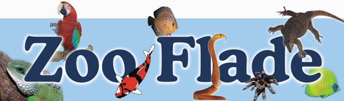 Logo_Flade