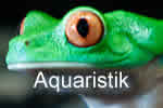 Aquaristik