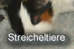 Streicheltiere