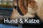 Hund & Katze